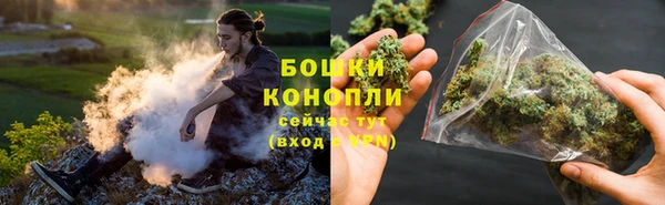 прущие грибы Верхний Тагил
