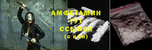 прущие грибы Верхний Тагил