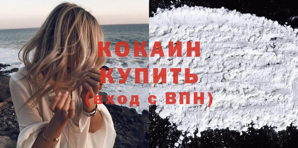 прущие грибы Верхний Тагил