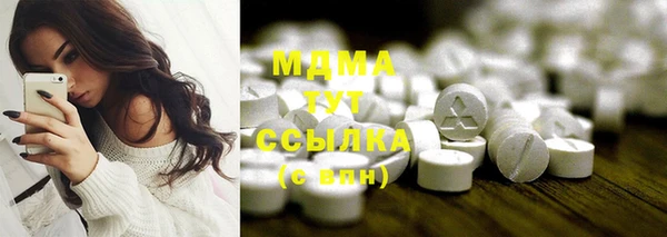 прущие грибы Верхний Тагил