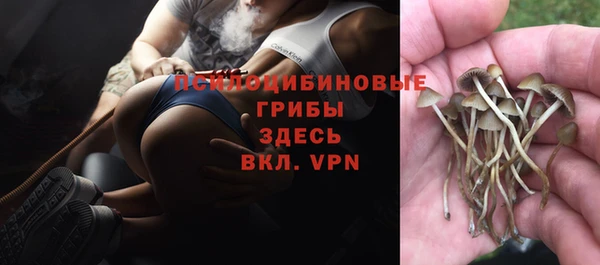 ГАЛЛЮЦИНОГЕННЫЕ ГРИБЫ Верхнеуральск