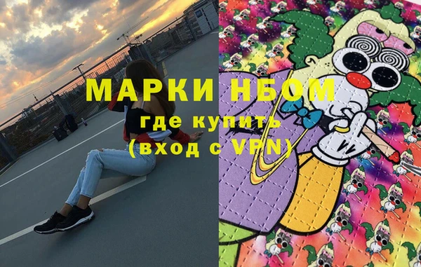прущие грибы Верхний Тагил