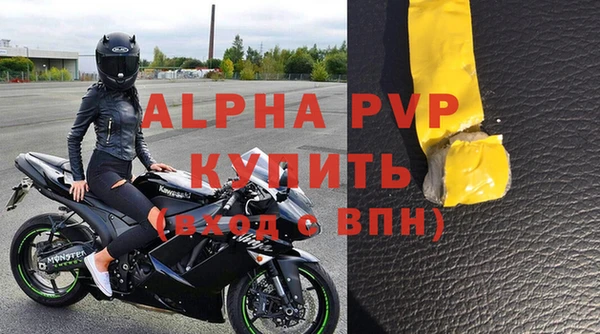 прущие грибы Верхний Тагил